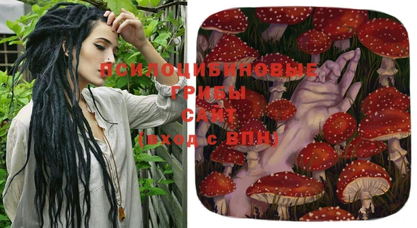 ECSTASY Нязепетровск