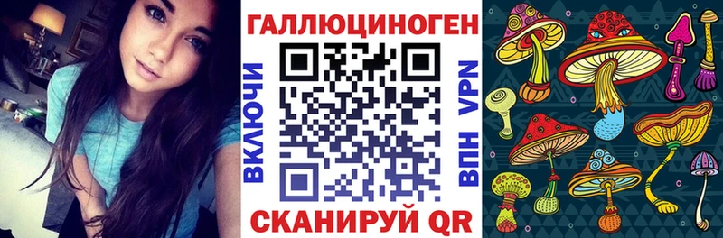 Псилоцибиновые грибы прущие грибы  Купить закладки  Абакан 